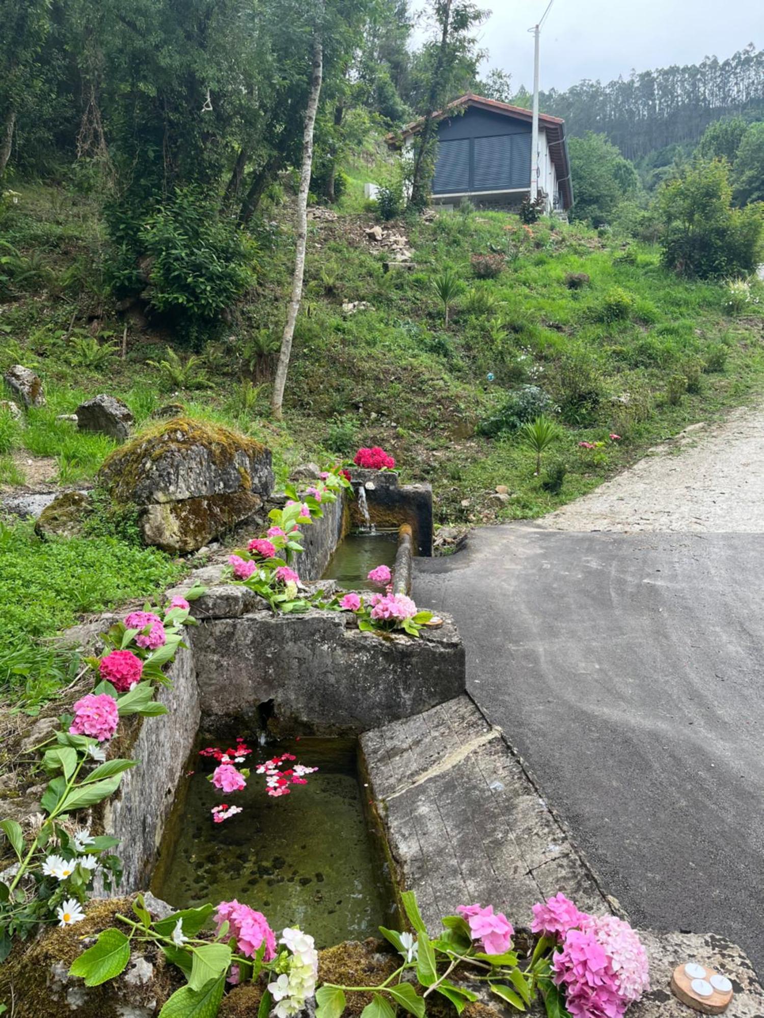 Apartamentos Rurales El Solsuco Villaviciosa  Dış mekan fotoğraf