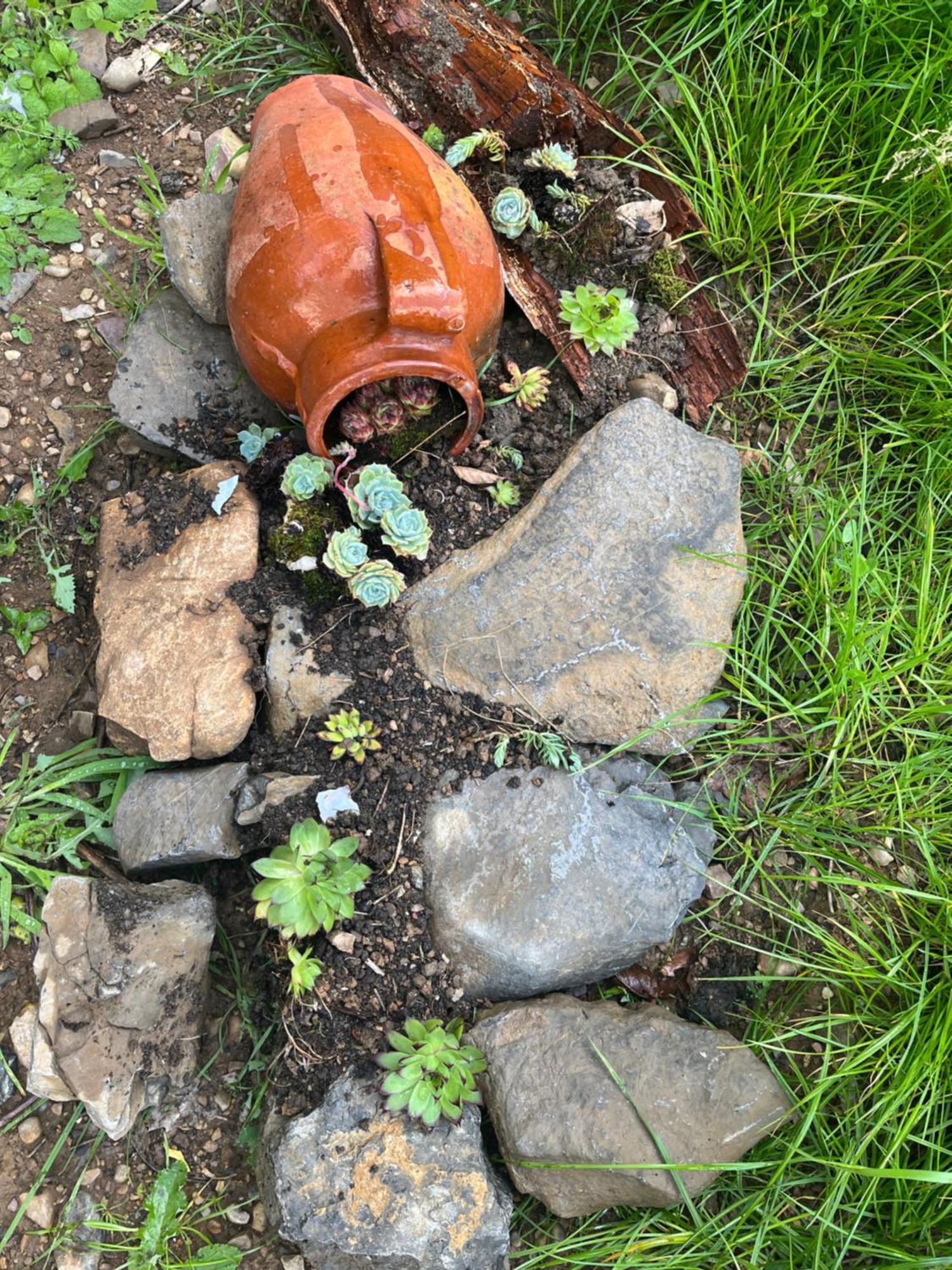Apartamentos Rurales El Solsuco Villaviciosa  Dış mekan fotoğraf
